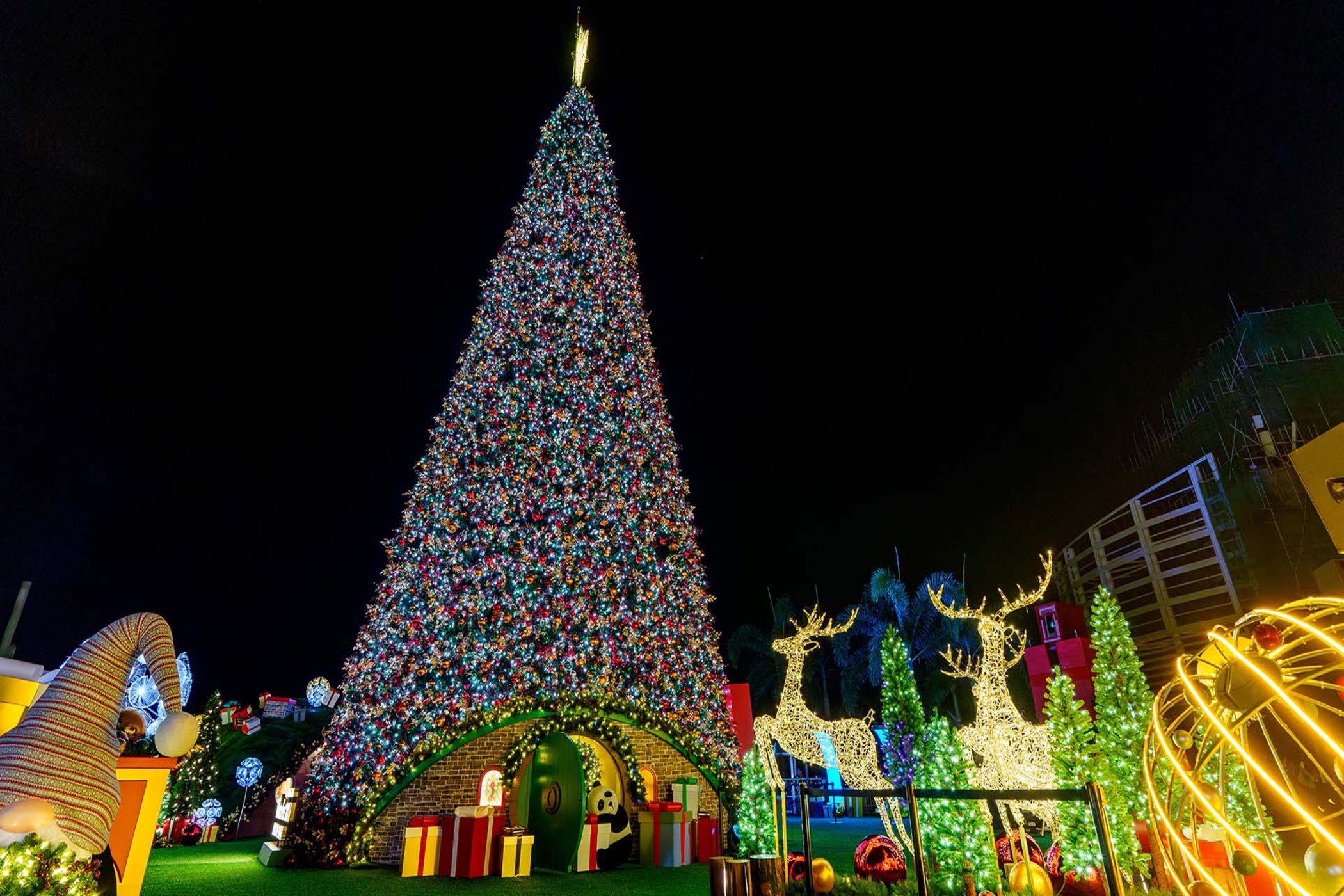 Sparkle & Cheer: Your Guide to Hong Kong's Early Holiday Magic in November